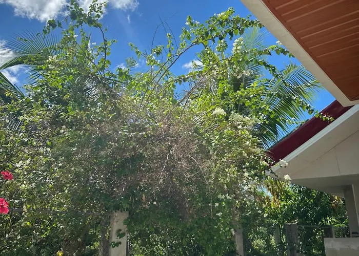 Jenny's White Haven